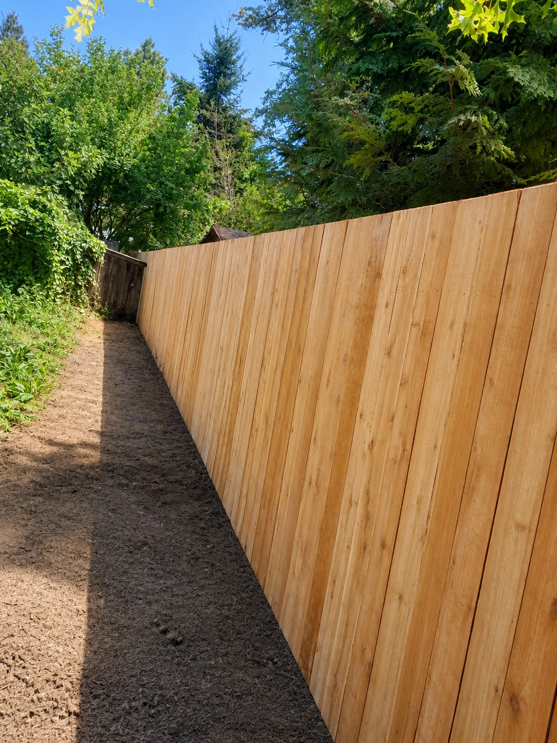 Detailed perspective along a new cedar privacy fence